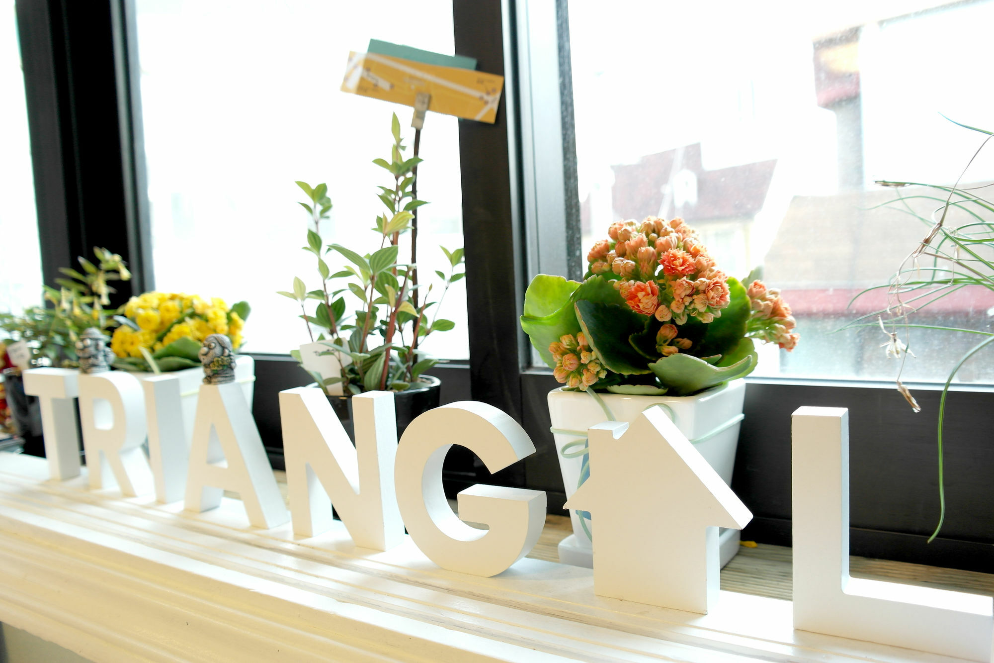 סיאול Triangel Guesthouse מראה חיצוני תמונה